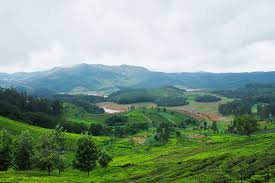 Nilgiris